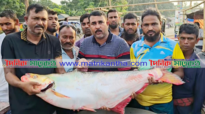 গোয়ালন্দে পদ্মার বিলুপ্ত এক ঢাই মাছ বিক্রি করে লাখোপতি জেলে